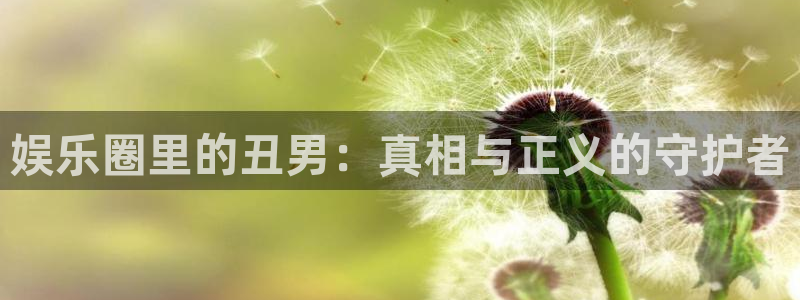 韦德1946安卓二维码