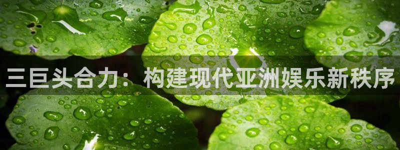 韦德1946